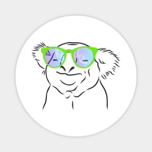 happy Koala with colored glasses Magnet